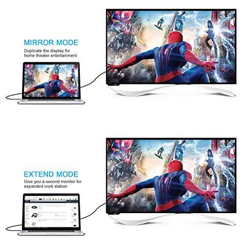 ZasLuke HDMI to VGA Gold Plated Active Video Adapter Cable 1080P HDMI Digital to VGA Analog Converter Cable (6 Feet/ 1.8 Meters)