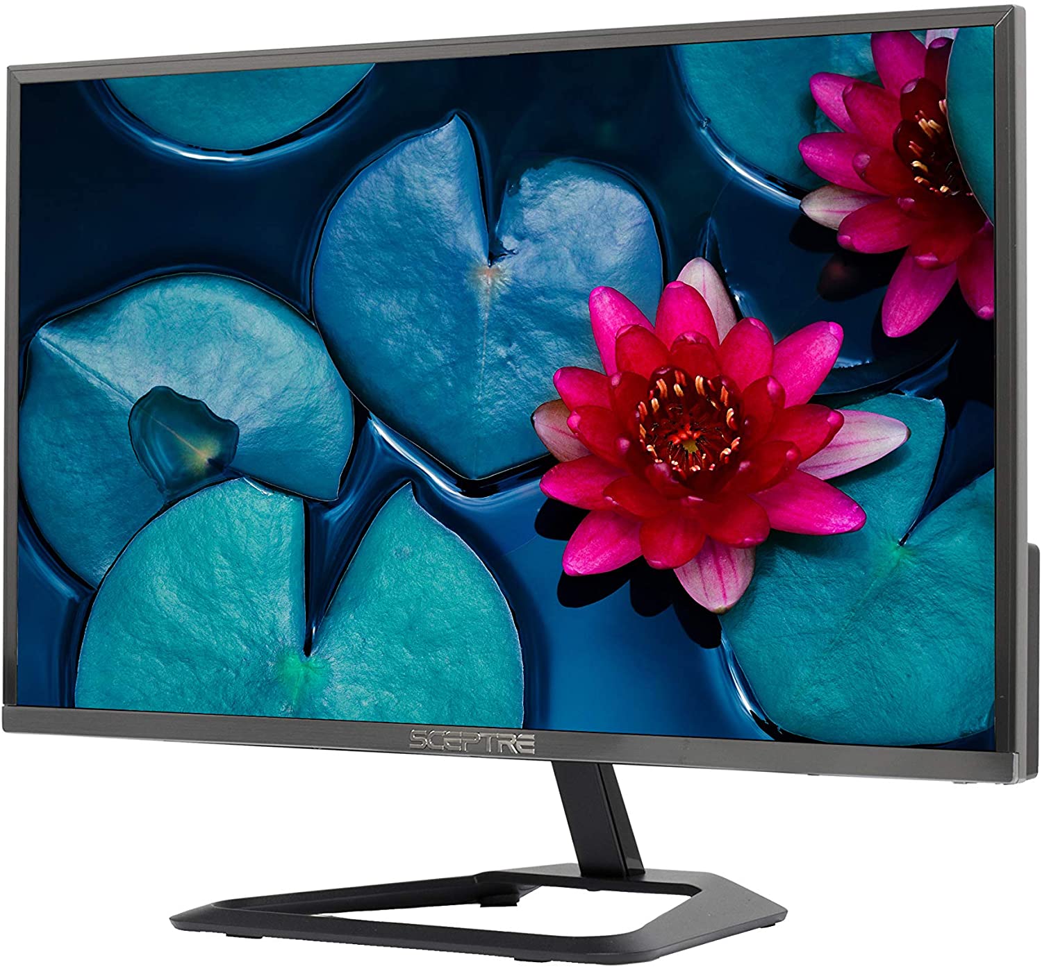 Sceptre 24 Inch Ultra Thin Ultra Slim 1080P 75Hz LED Monitor HDMI VGA, Metal Black (E248W-1920R)